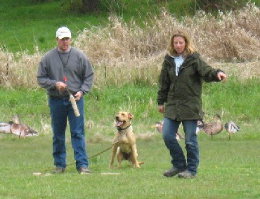 Adrienne Hardin instructing a client with a yellow labrador in a private lesson