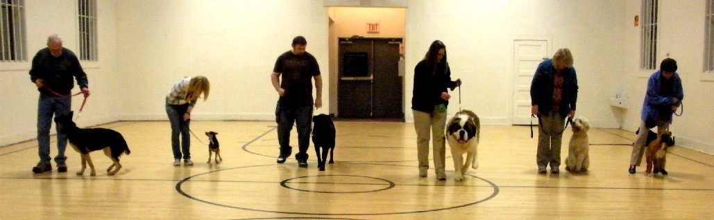 puppy training class easily commutable from portland oregon or scappoose washington